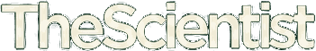 The Scientist
